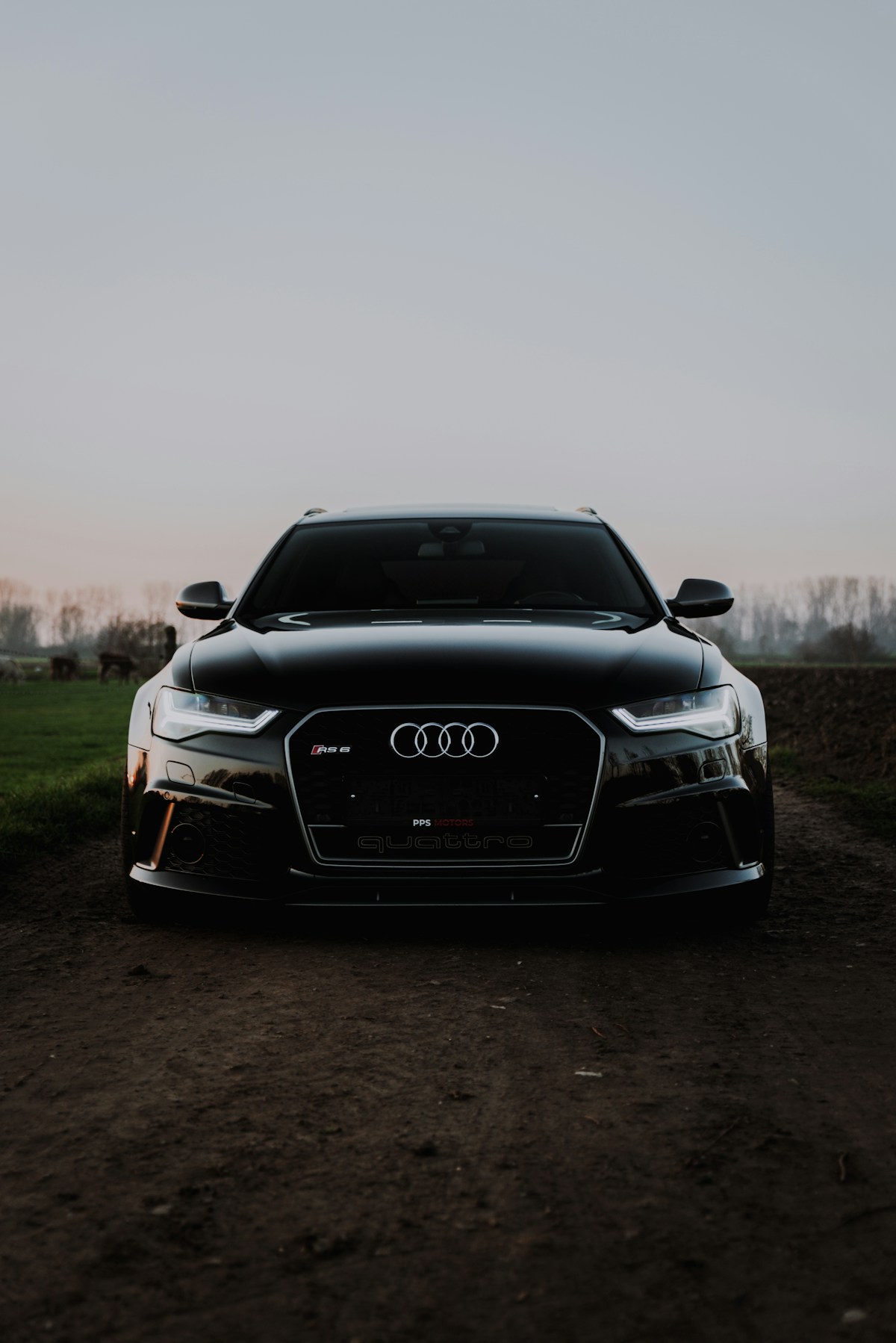 2024 Audi RS Q8 Prestige